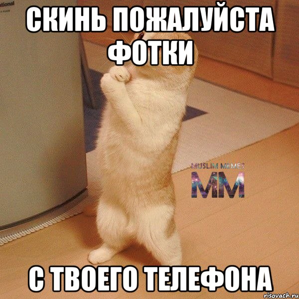 скинь пожалуйста фотки с твоего телефона