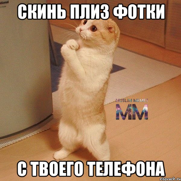 скинь плиз фотки с твоего телефона