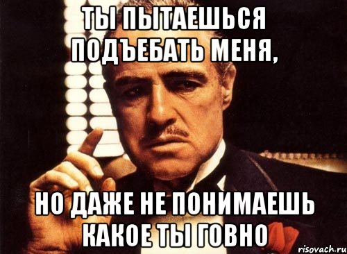 ТЫ ПЫТАЕШЬСЯ ПОДЪЕБАТЬ МЕНЯ, НО ДАЖЕ НЕ ПОНИМАЕШЬ КАКОЕ ТЫ ГОВНО, Мем крестный отец