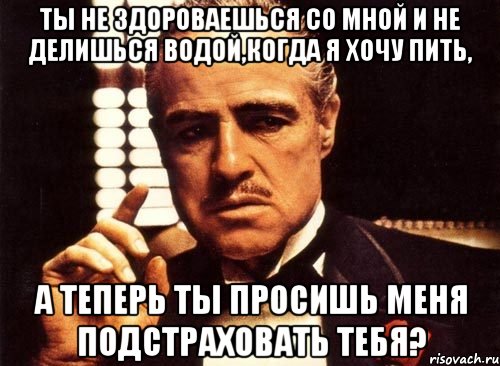 Ты не здороваешься со мной и не делишься водой,когда я хочу пить, а теперь ты просишь меня подстраховать тебя?, Мем крестный отец