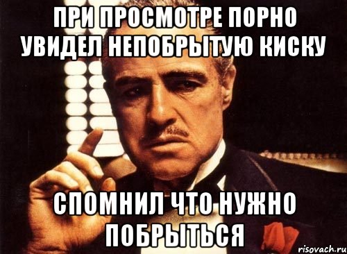 при просмотре порно увидел непобрытую киску спомнил что нужно побрыться, Мем крестный отец