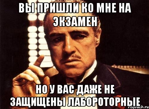 вы пришли ко мне на экзамен но у вас даже не защищены лабороторные, Мем крестный отец