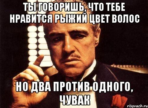 ты говоришь, что тебе нравится рыжий цвет волос но два против одного, чувак, Мем крестный отец