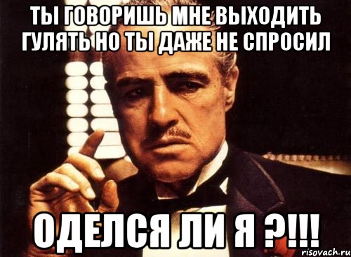 ты говоришь мне выходить гулять но ты даже не спросил оделся ли я ?!!!, Мем крестный отец