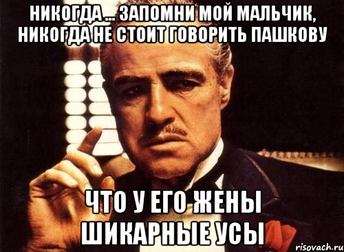 никогда ... запомни мой мальчик, никогда не стоит говорить пашкову что у его жены шикарные усы, Мем крестный отец