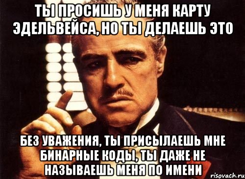 Ты просишь у меня карту Эдельвейса, но ты делаешь это без уважения, ты присылаешь мне бинарные коды, ты даже не называешь меня по имени, Мем крестный отец