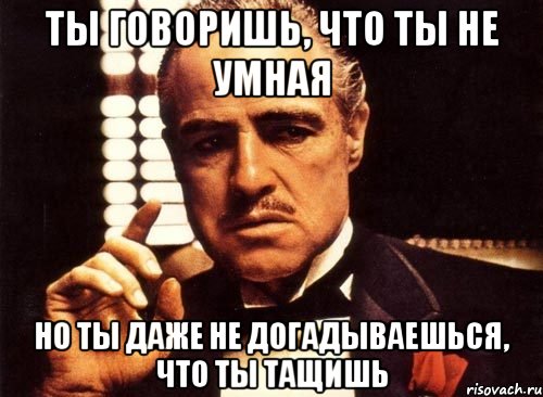 ты говоришь, что ты не умная но ты даже не догадываешься, что ты тащишь, Мем крестный отец