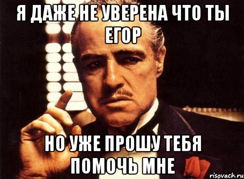 я даже не уверена что ты егор но уже прошу тебя помочь мне, Мем крестный отец