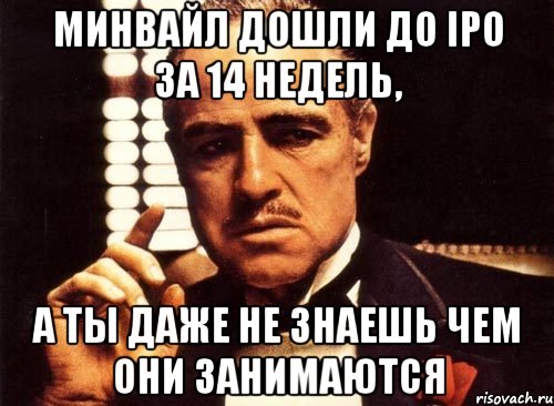 Минвайл дошли до IPO за 14 недель, А ты даже не знаешь чем они занимаются, Мем крестный отец