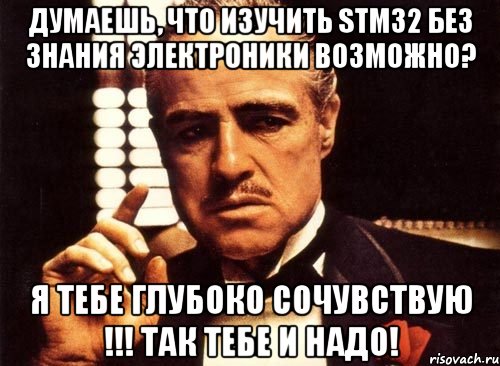 Думаешь, что изучить STM32 без знания электроники возможно? Я тебе ГЛУБОКО СОЧУВСТВУЮ !!! так тебе и надо!, Мем крестный отец