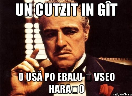 UN CUTZIT IN GÎT O USĂ PO EBALU Ș VSEO HARAȘO, Мем крестный отец