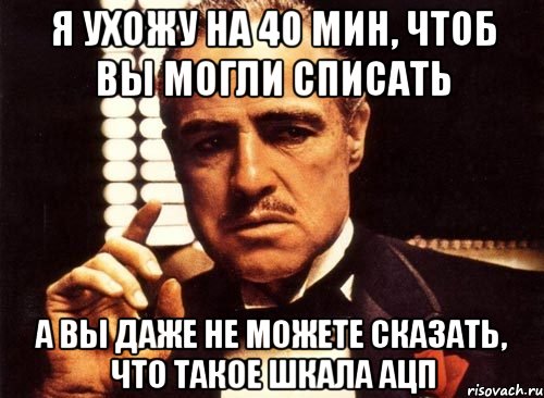 Я ухожу на 40 мин, чтоб вы могли списать А вы даже не можете сказать, что такое шкала АЦП, Мем крестный отец