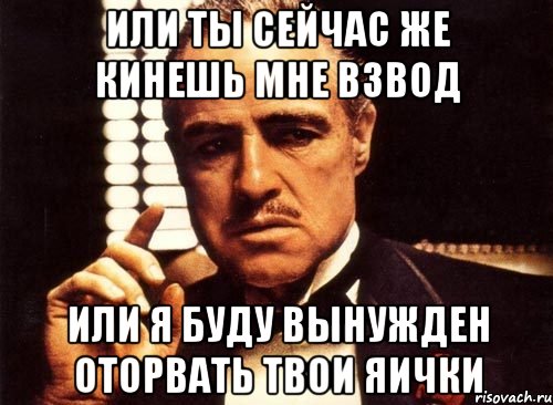 Или ты сейчас же кинешь мне взвод или я буду вынужден оторвать твои яички, Мем крестный отец