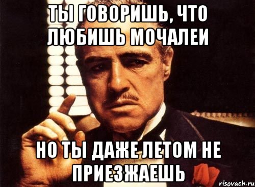 Ты говоришь, что любишь Мочалеи Но ты даже летом не приезжаешь, Мем крестный отец