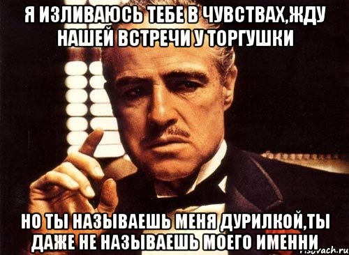 я изливаюсь тебе в чувствах,жду нашей встречи у Торгушки Но ты называешь меня дурилкой,ты даже не называешь моего именни, Мем крестный отец