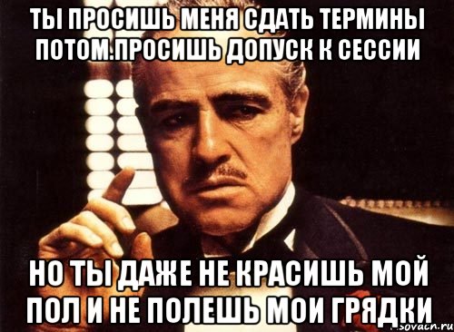 ты просишь меня сдать термины потом.просишь допуск к сессии но ты даже не красишь мой пол и не полешь мои грядки, Мем крестный отец