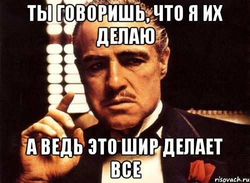 ты говоришь, что я их делаю а ведь это Шир делает все, Мем крестный отец