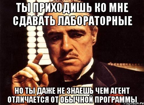 ты приходишь ко мне сдавать лабораторные но ты даже не знаешь чем агент отличается от обычной программы, Мем крестный отец