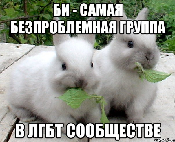 БИ - самая безпроблемная группа В ЛГБТ сообществе