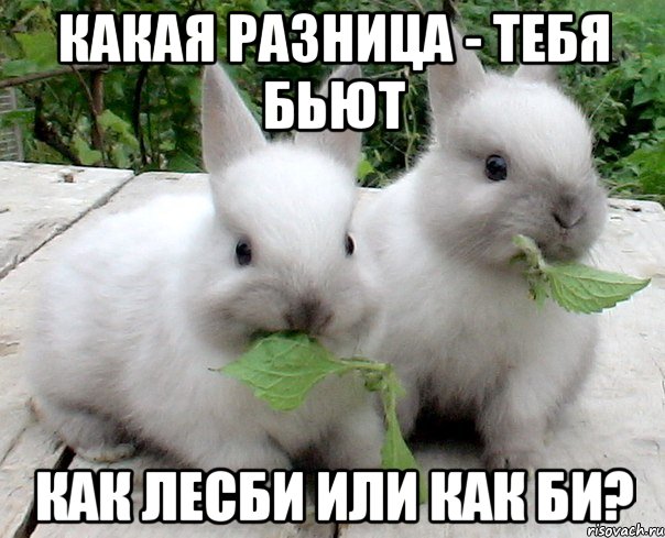 какая разница - тебя бьют как лесби или как би?