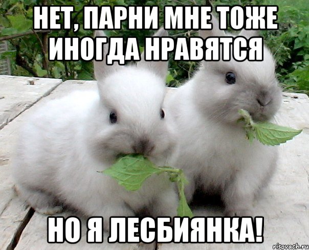 нет, парни мне тоже иногда нравятся но я лесбиянка!