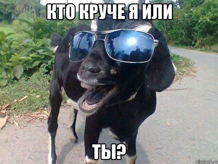 Кто круче я или ты?