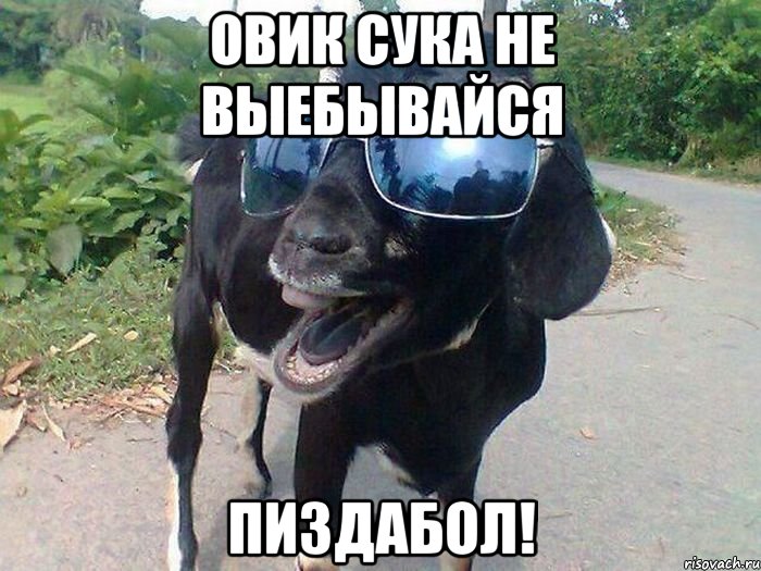 Овик сука не выебывайся пиздабол!