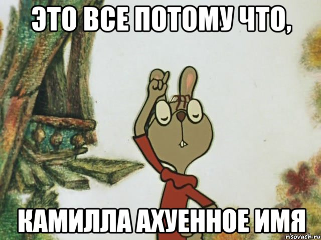 это все потому что, Камилла ахуенное имя