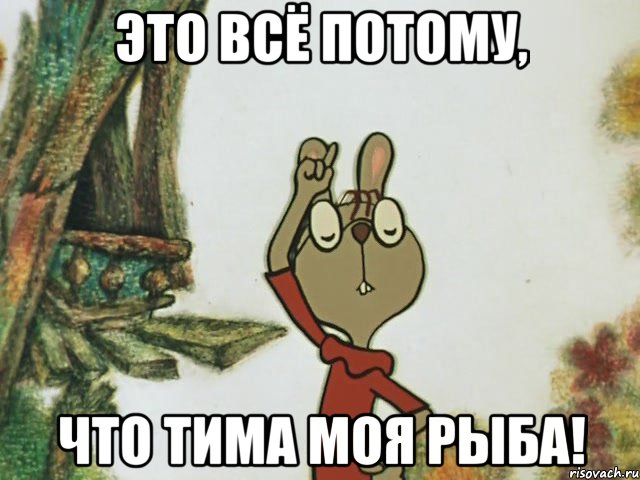 Это всё потому, Что Тима моя рыба!