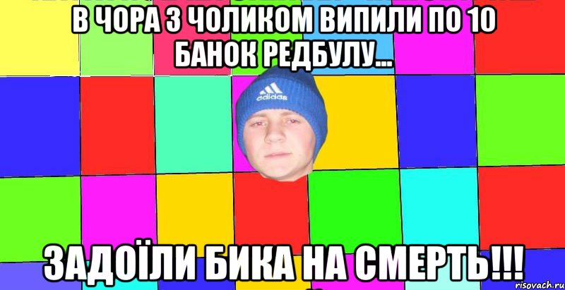 в чора з чоликом випили по 10 банок редбулу... задоїли бика на смерть!!!