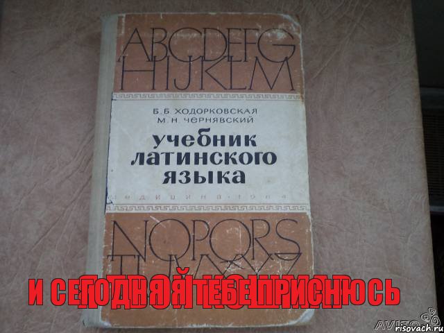 я твой кошмар и сегодня я тебе приснюсь, Комикс latina