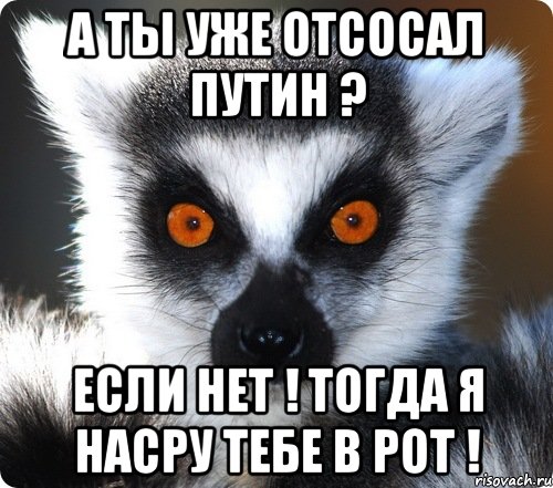 А ТЫ УЖЕ ОТСОСАЛ ПУТИН ? ЕСЛИ НЕТ ! ТОГДА Я НАСРУ ТЕБЕ В РОТ !, Мем лемур