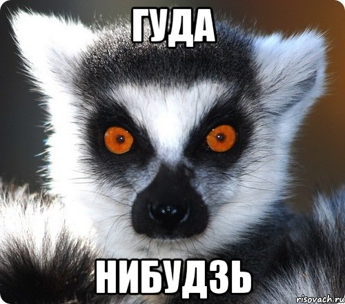 гуда нибудзь, Мем лемур