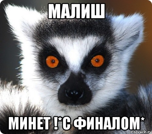 малиш минет !*с финалом*, Мем лемур