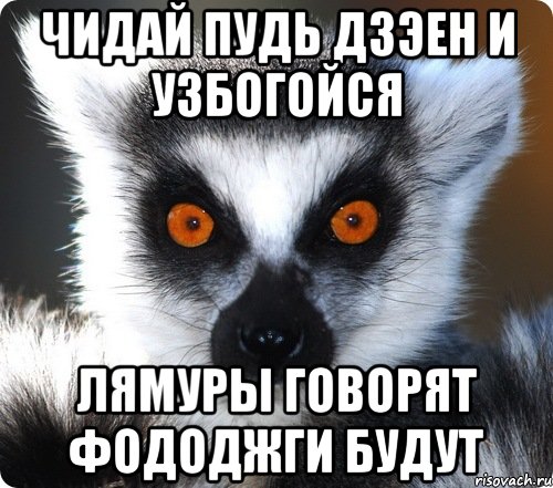 чИдай пудь дзэен и узбогойся Лямуры говорят фододжги будут, Мем лемур