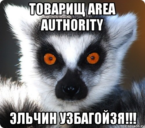 Товарищ Area Authority Эльчин УЗБАГОЙЗЯ!!!, Мем лемур