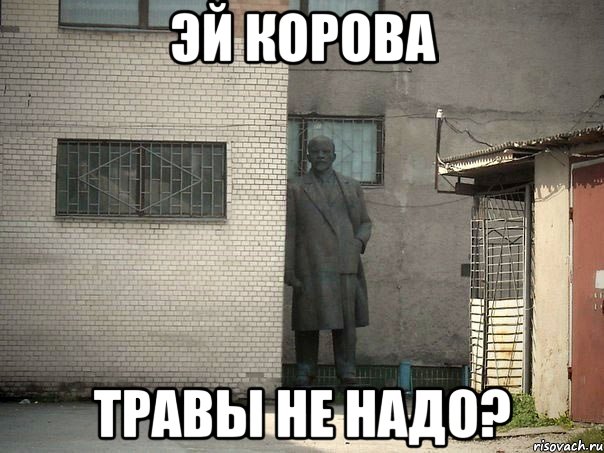 Эй корова Травы не надо?, Мем  Ленин за углом (пс, парень)