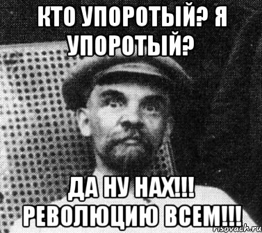 КТО УПОРОТЫЙ? Я УПОРОТЫЙ? ДА НУ НАХ!!! РЕВОЛЮЦИЮ ВСЕМ!!!, Мем   Ленин удивлен