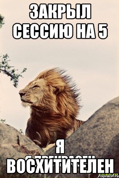 Закрыл сессию на 5 Я восхитителен