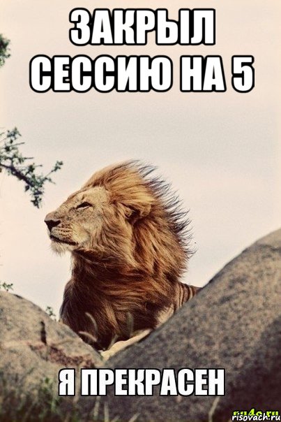 Закрыл сессию на 5 
