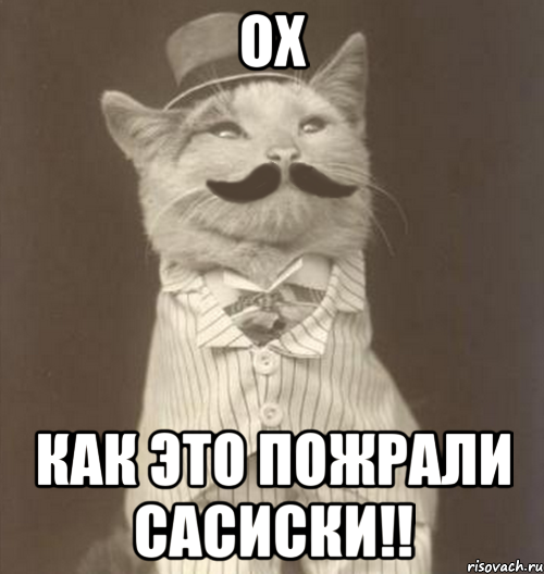 ох как это пожрали сасиски!!, Мем Like a Sir