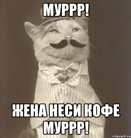 муррр! жена неси кофе муррр!, Мем Like a Sir