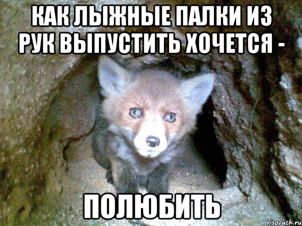 как лыжные палки из рук выпустить хочется - полюбить