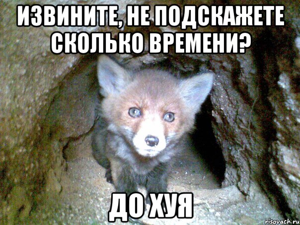 извините, не подскажете сколько времени? до хуя