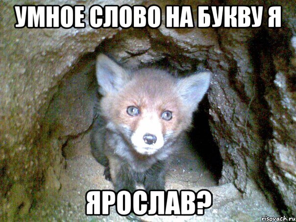 умное слово на букву я ярослав?