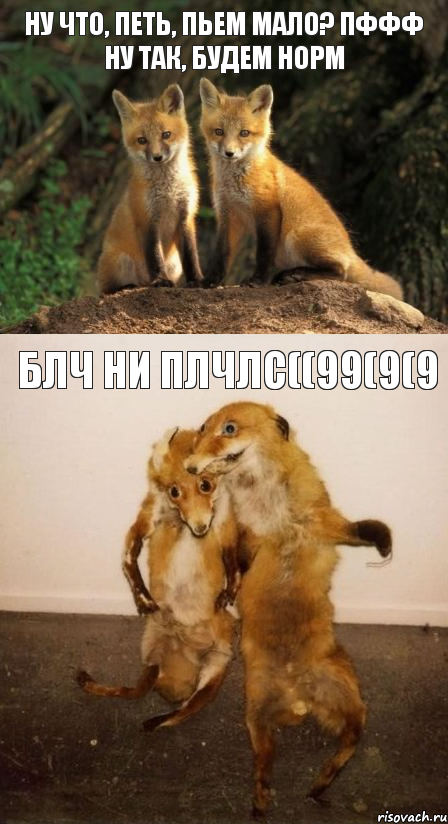 Ну что, петь, пьем мало? Пффф ну так, будем норм БЛЧ НИ ПЛЧЛС((99(9(9, Комикс Лисицы