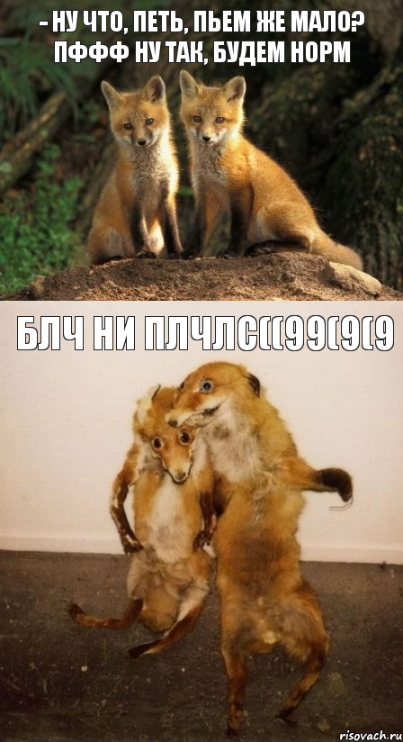 - Ну что, Петь, пьем же мало? Пффф ну так, будем норм БЛЧ НИ ПЛЧЛС((99(9(9, Комикс Лисицы