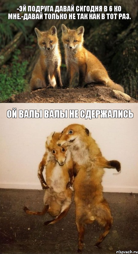 -эй подруга давай сигодня в 6 ко мне.-давай только не так как в тот раз. ой валы валы не сдержались, Комикс Лисицы