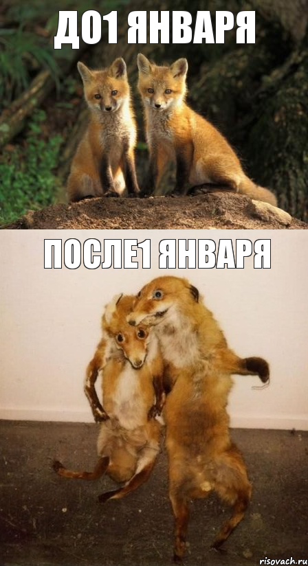 до1 января после1 января, Комикс Лисицы