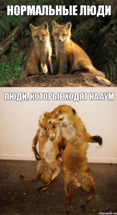 НОРМАЛЬНЫЕ люди люди, которые ходят на АУМ, Комикс Лисицы